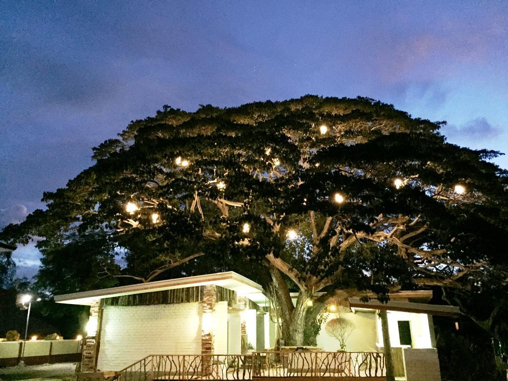 Serviced Apartments By Eco Hotel Bohol Панглао Екстериор снимка